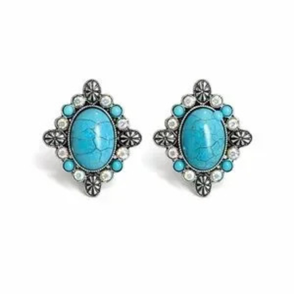 ?? Turquoise and Silver Earrings